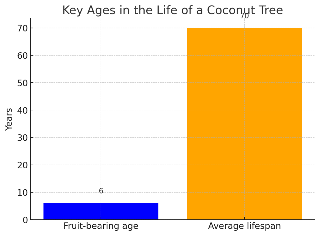 Key Ages in the Life of a Coconut Tree