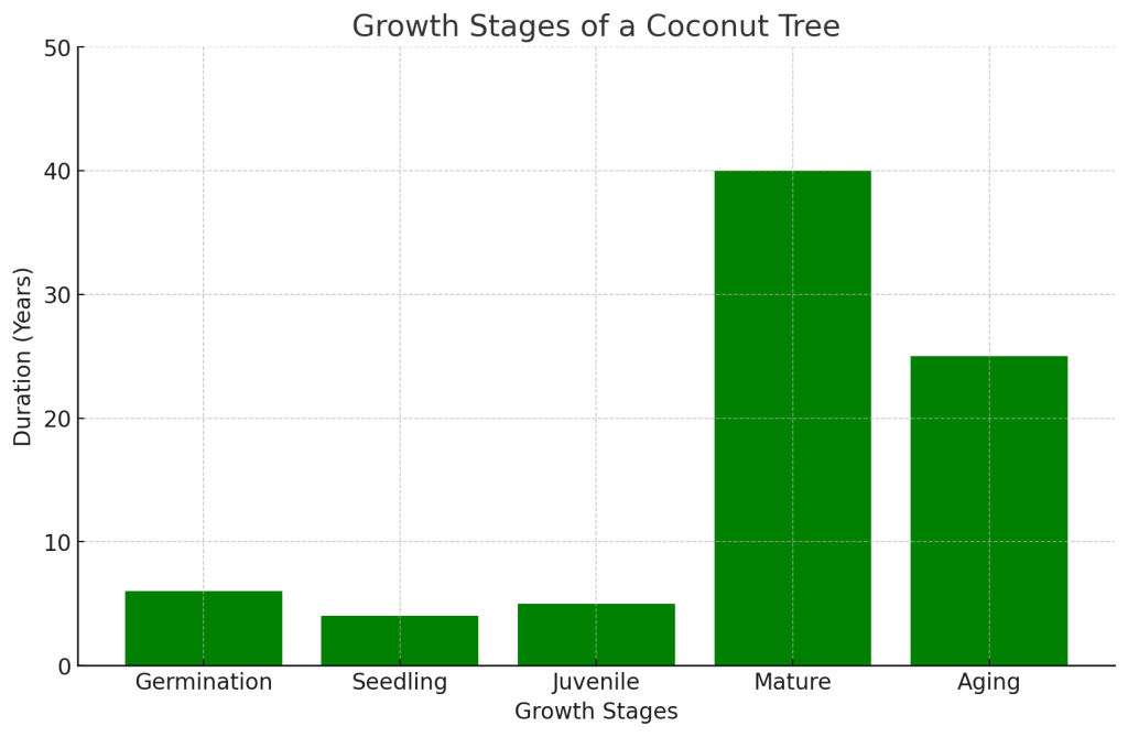 The growth stages of a coconut tree
