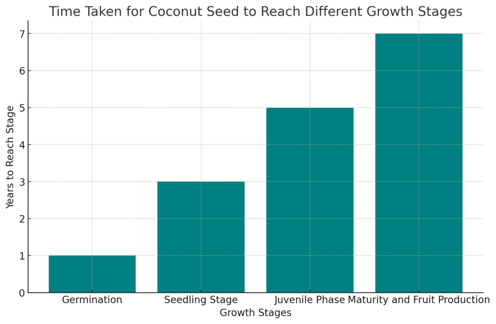 average time taken for a coconut seed to progress through different growth stages, from germination to maturity and fruit production.